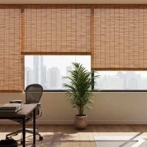 Palmeira Series